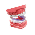 AIRWAAV RX1 Recovery Mouthpiece (Sleep & Recovery)
